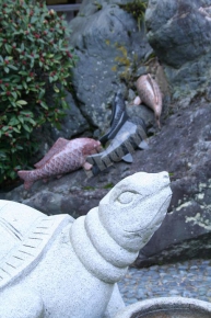 松尾大社の亀様と鯉様