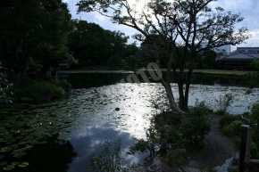 渉成園の印月池
