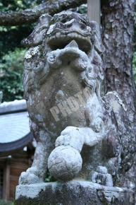 鷺森神社の狛犬