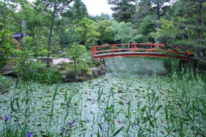 大原野神社の鯉沢の池