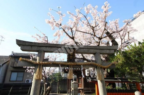 天照大神をお堂を建てたのが始りの桜宮神社