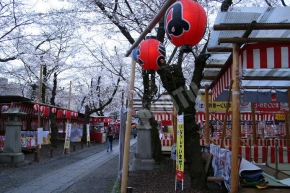 平野神社の出店