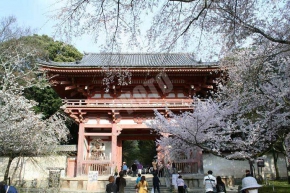 醍醐寺の仁王門