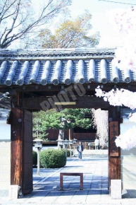 大報恩寺(千本釈迦堂）の入り口