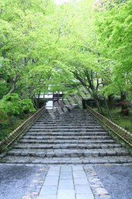 龍安寺の階段