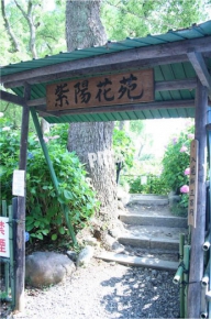 藤森神社の紫陽花苑門