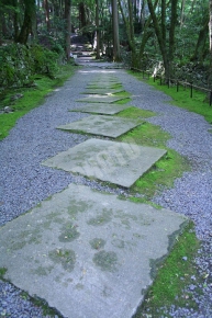 高山寺の表参道から見た金堂道