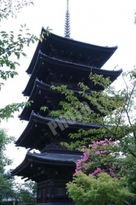 東寺（教王護国寺）の五重塔