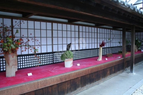 大覚寺の花
