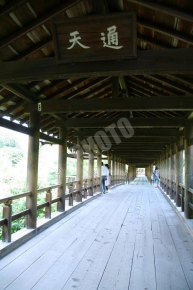 東福寺の夏の通天橋