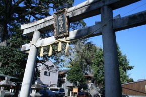 櫟谷七野神社の鳥居をくぐります