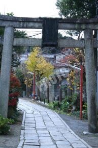 粟田神社の鳥居