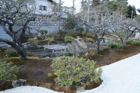 光雲寺の庭