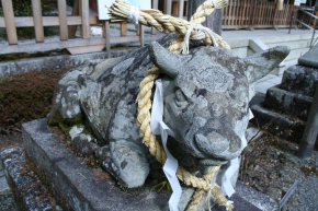 熊野若王子神社の牛