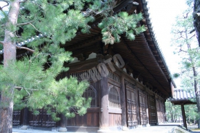 大徳寺の法堂