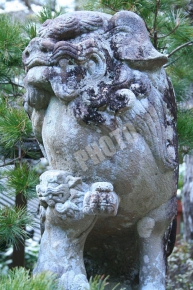 鷺森神社の狛犬