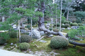 曼殊院の鶴島の松の木の根元に、一本の「キリシタン灯篭」