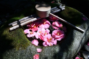 霊鑑寺の手水鉢と椿