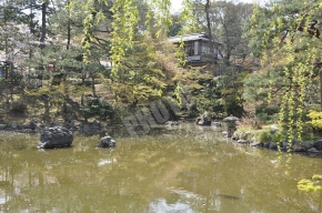 円山公園のひょうたん池