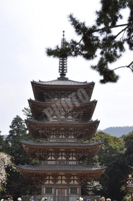 醍醐寺 その2の五重塔