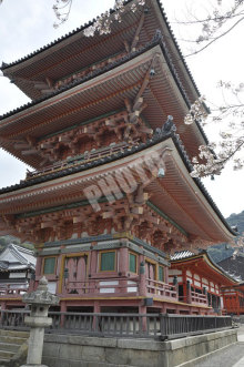 清水寺 その2の下から見上げる三重塔