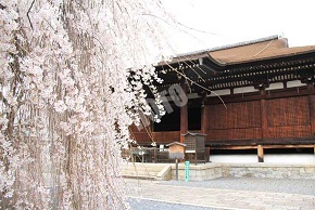 本堂：京都最古の建造物
