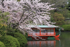 龍王船と桜