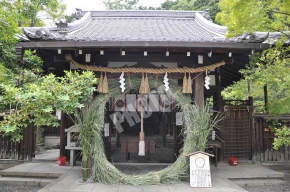 新熊野神社の茅の輪