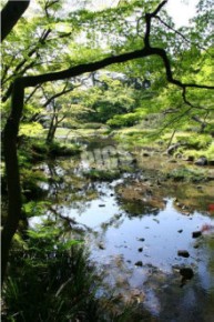 無鄰菴の近代的日本庭園