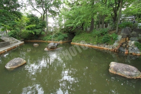 丹の池