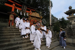 朝代神社を出る神輿