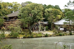 法界寺境内の池
